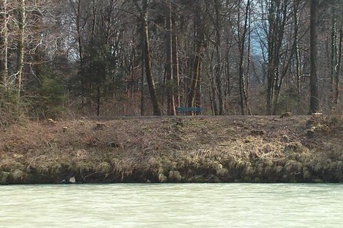 Baeume Reichenhall 5