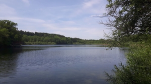 Weidsee Weidsee