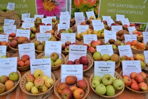 Traunsteiner Apfelmarkt Oktober Traunsteiner Apfelmarkt Oktober