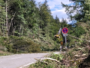 Vollsperrung B305 Regen Vollsperrung B305 Regen