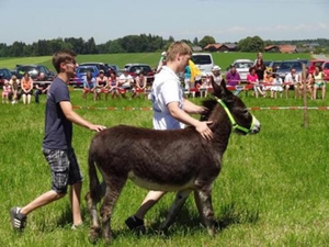 Pfingstfest Holzhausen