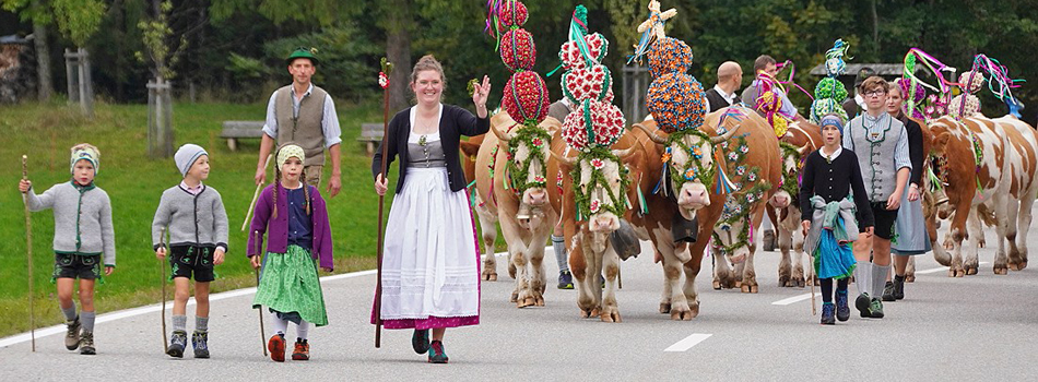 Almabtrieb Bischofswiesen 01 Oktober 2022 Almabtrieb Bischofswiesen 01 Oktober 2022