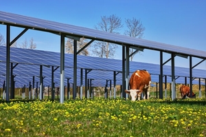 Agri-PV-Anlage Eichfeld Übersee Agri-PV-Anlage Eichfeld Übersee