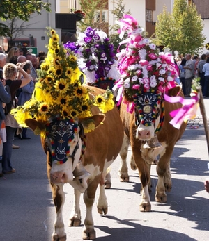 almabtrieb almabtrieb
