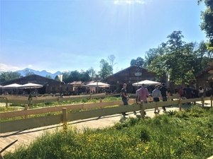 Alm Wiesn Übersee Alm Wiesn Übersee