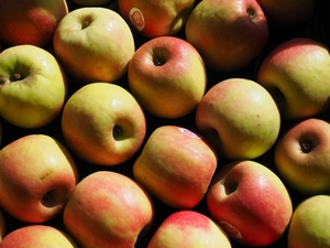 apfel-markt apfel-markt