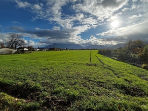Grünfläche Freilassinger Feld Grünfläche Freilassinger Feld