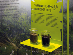 Austellung Moor Traunstein Austellung Moor Traunstein