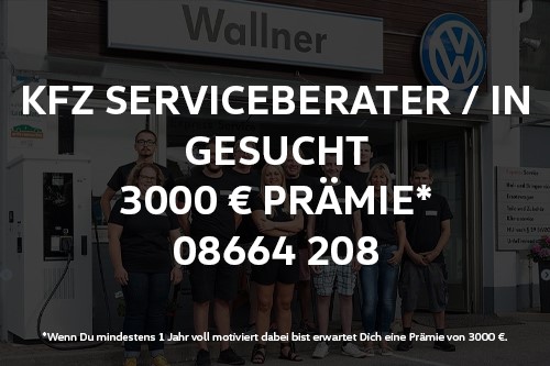 Auto Wallner Serviceberater