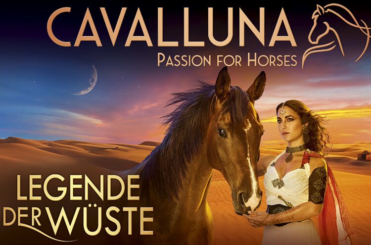 Banner Haupt Cavalluna