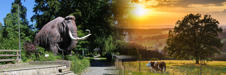 Meine Region - Meine Heimat - Sommerserie - Siegsdorf Meine Region - Meine Heimat - Sommerserie - Siegsdorf