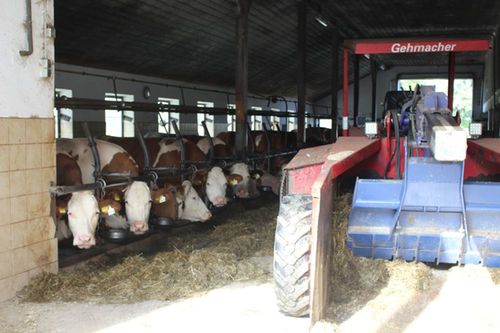 Bauernhof Stall