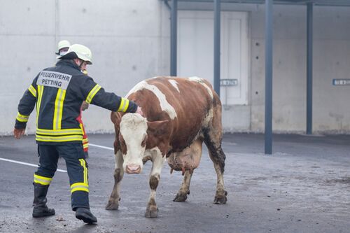 Bauernhofbrand Waging 3