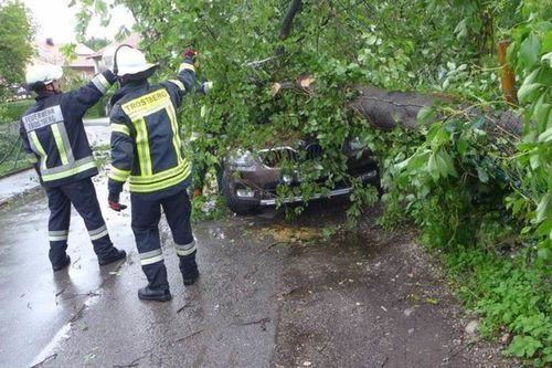 Baum Auf Auto Trostberg
