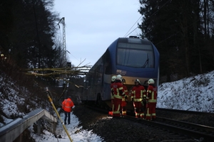 Baum Zug Bahnstrecke