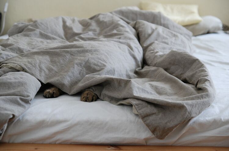 Bed 1358907 1280