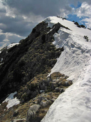 Berg Berg