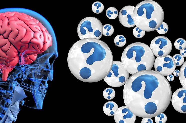 Brain 2546101 1920