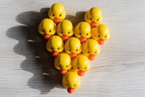 enten enten