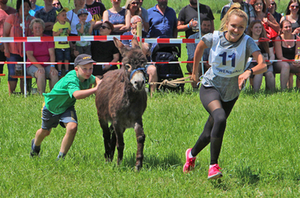 Eselrennen in Holzhausen 2019 Eselrennen in Holzhausen 2019
