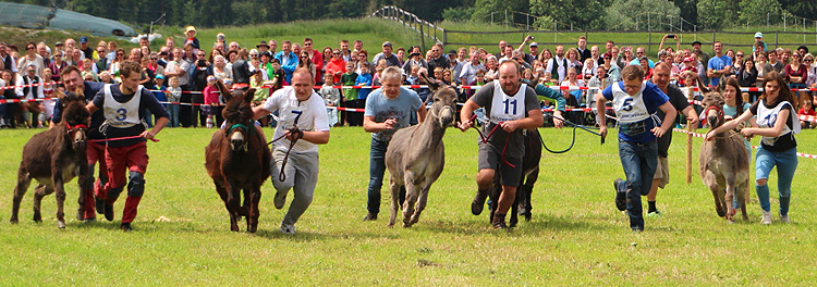 Eselrennen in Holzhausen 2018