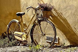 Fahrrad Fahrrad