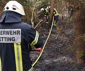 Brand SChönramer Filz