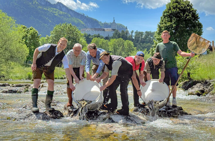 Fischbesatz In Die Prien Foto H Reiter