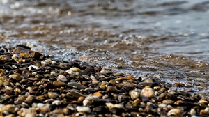 Fluss-Ufer Fluss-Ufer