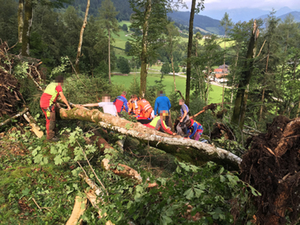 forstunfall_ramsau forstunfall_ramsau