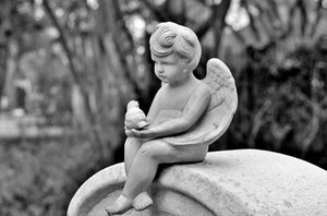 Friedhof Friedhof