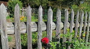Gartenzaun Gartenzaun