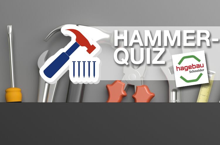 Hammer Quiz Top Themen 2023