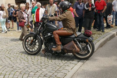 Harley Prien 6