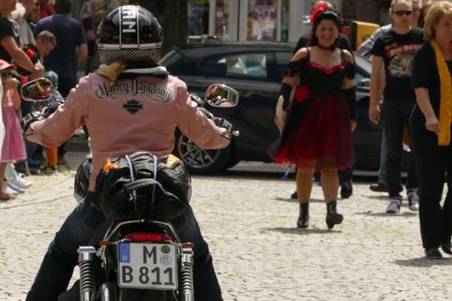 Harley Prien 8
