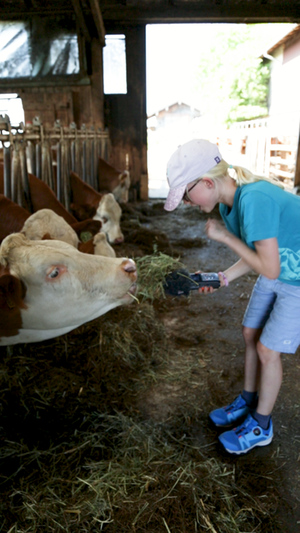 Q3 Landwirtschaft Q3 Landwirtschaft