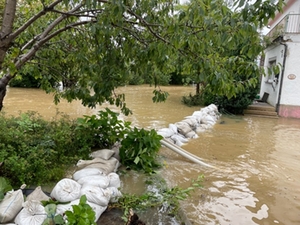 Hochwasser Waldhausen