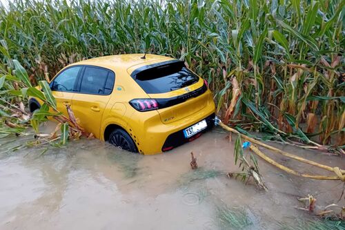 Hochwasser Freutsmoos