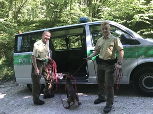 hunde_polizei_bgd hunde_polizei_bgd