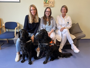 Therapiehunde Kreisklinik Trostberg Therapiehunde Kreisklinik Trostberg