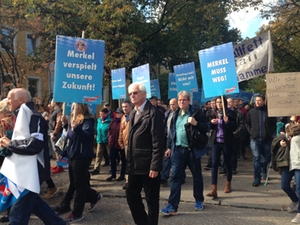 Afd_Demo_Freilassing_3 Afd_Demo_Freilassing_3