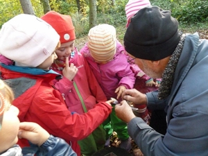 kinder-natur kinder-natur