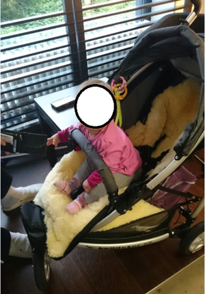 Kinderwagendiebstahl_Traunreut