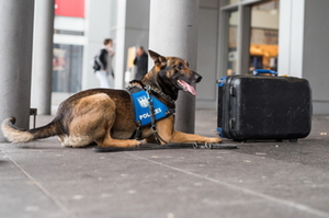 Polizeieinsatz Koffer Polizeieinsatz Koffer