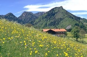 Landschaft Landschaft