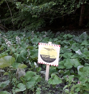 Schild Vogelbrut Schild Vogelbrut