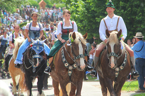 Leonhardiritt Holzhausen 2019 Leonhardiritt Holzhausen 2019