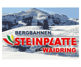 Steinplatte Waidring