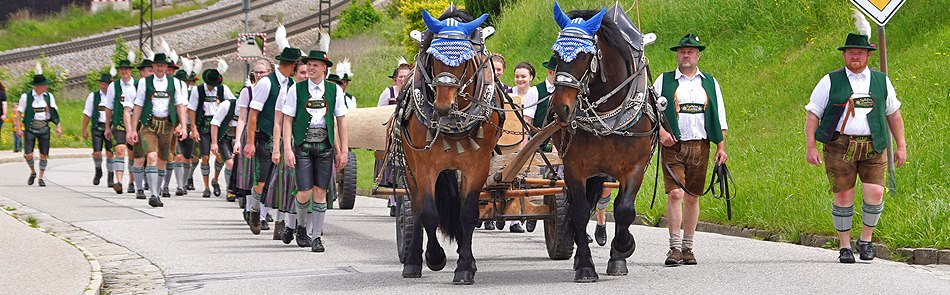 Maibaumaufstellen Lauter/Surberg 2022 Maibaumaufstellen Lauter/Surberg 2022