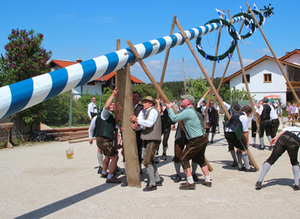 Maibaumaufstellen Schönram 2019